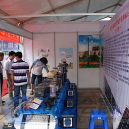 專業(yè)會(huì)議及展覽服務(wù) 南寧市悅龍會(huì)議展覽服務(wù)有限責(zé)任公司為東盟博覽會(huì)、廣西婚博會(huì)等展會(huì)提供標(biāo)準(zhǔn)展位一站式解決方案